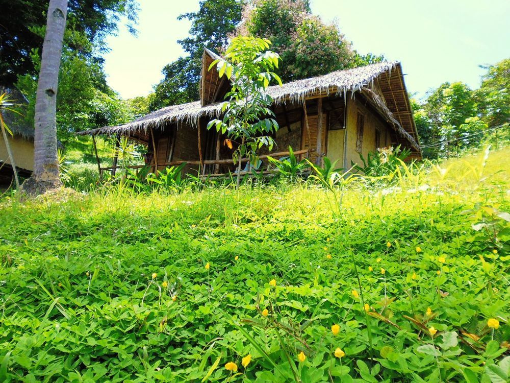 Tapik Beach Park Guest House El Nido Kültér fotó