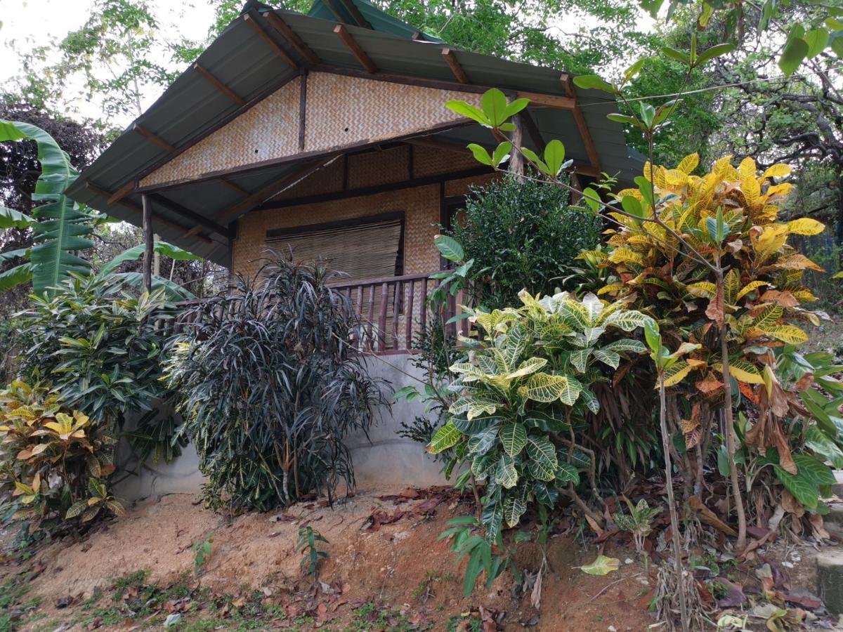 Tapik Beach Park Guest House El Nido Kültér fotó